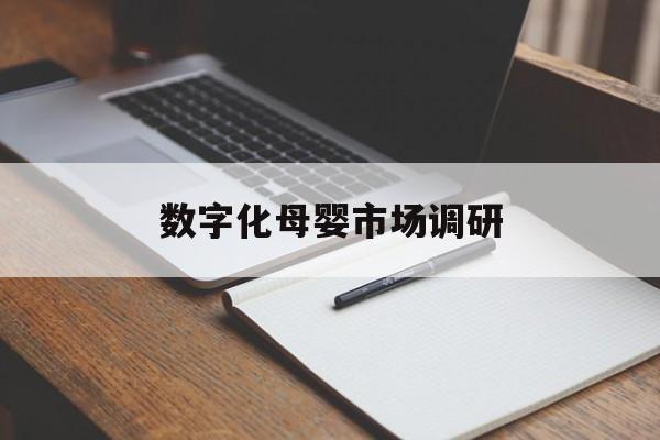 淮南市数字化母婴市场调研(数字化母婴市场调研报告)